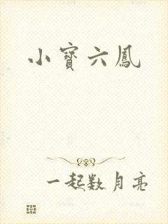 小宝六凤