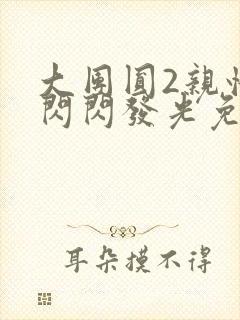 大团圆2亲情会闪闪发光免费