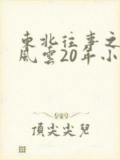 东北往事之黑道风云20年小说