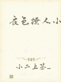 夜色撩人小说