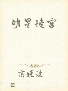 明星后宫