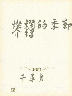 灿烂的季节剧情介绍