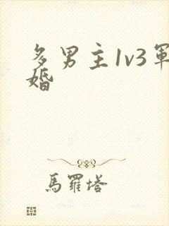 多男主1v3军婚