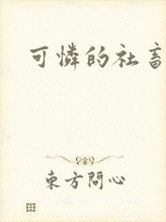 可怜的社畜分手