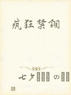 疯狂禁锢封面
