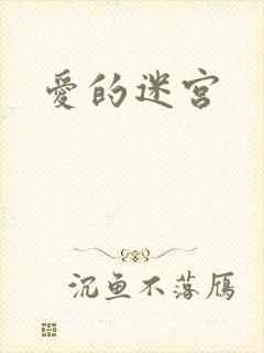 爱的迷宫封面