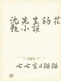 沈先生的花式管教小说