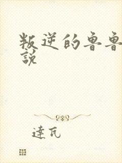 叛逆的鲁鲁修小说