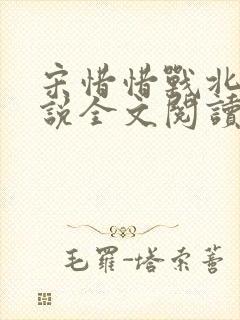 宋惜惜战北望小说全文阅读