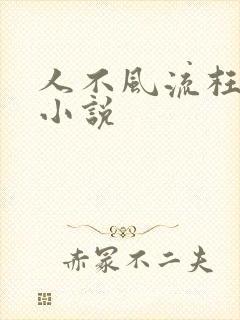人不风流枉少年小说