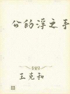 公的浮之手中字
