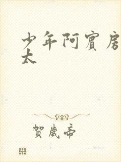 少年阿宾房东太太