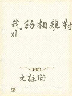 我的相亲对象是xl封面