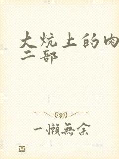大炕上的肉伦第二部