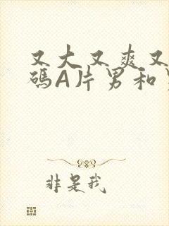 又大又爽又黄无码A片男和男