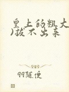 皇上的粗大(h)拔不出来封面