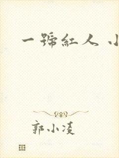 一号红人 小说