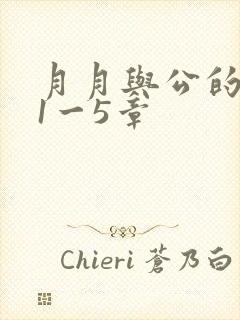 月月与公的激情1一5章封面