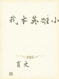 我本英雄小说封面