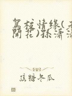 驾校情缘(老树开花)孙潇潇笔趣阁