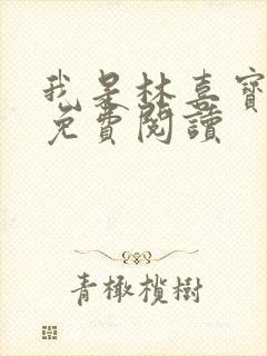 我是林喜宝小说免费阅读封面