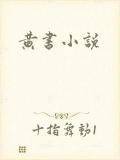 黄书小说