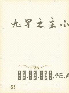 九星之主小说