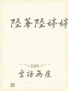 陆华陆婷婷封面