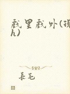 戏里戏外(现场h)