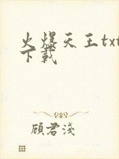 火爆天王txt下载封面