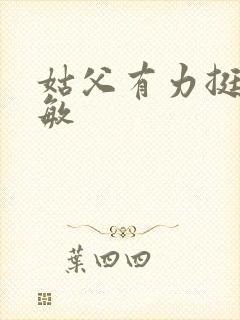 姑父有力挺送赵敏封面