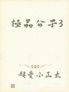 极品公子3