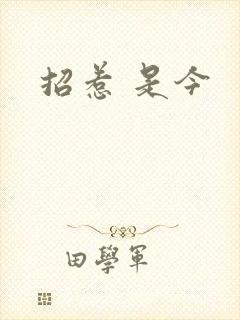 招惹 是今