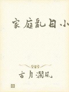 家庭乱日小说