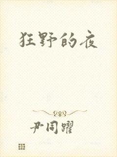 狂野的夜