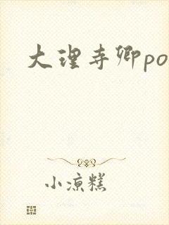 大理寺卿po封面