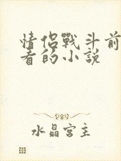 情侣战斗前适合看的小说封面