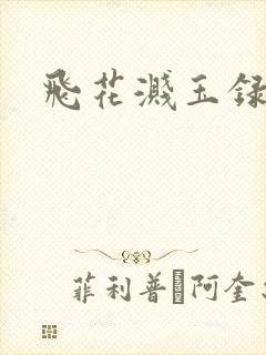 飞花溅玉录