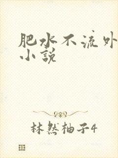 肥水不流外人田小说