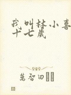 我叫林小喜今年十七岁封面