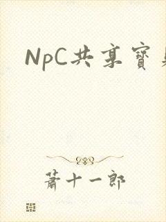 NpC共享宝贝