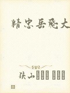 精忠岳飞大结局封面