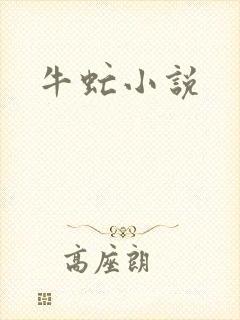 牛虻小说