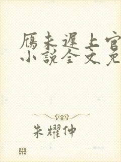 雁未迟上官穿越小说全文免费阅读