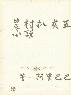 农村扒灰五十篇小说封面