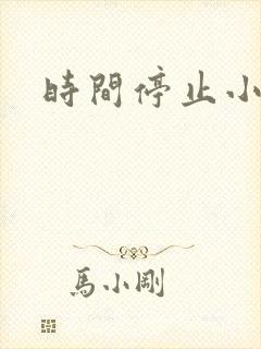 时间停止小说