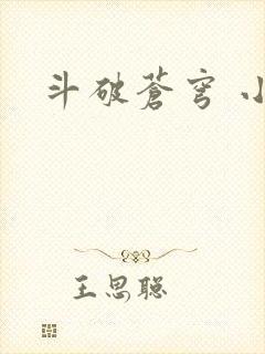 斗破苍穹 小说封面