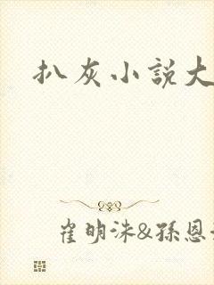 扒灰小说大全封面