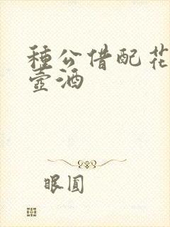 种公借配花间一壶酒封面