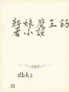 新妹魔王的契约者小说封面